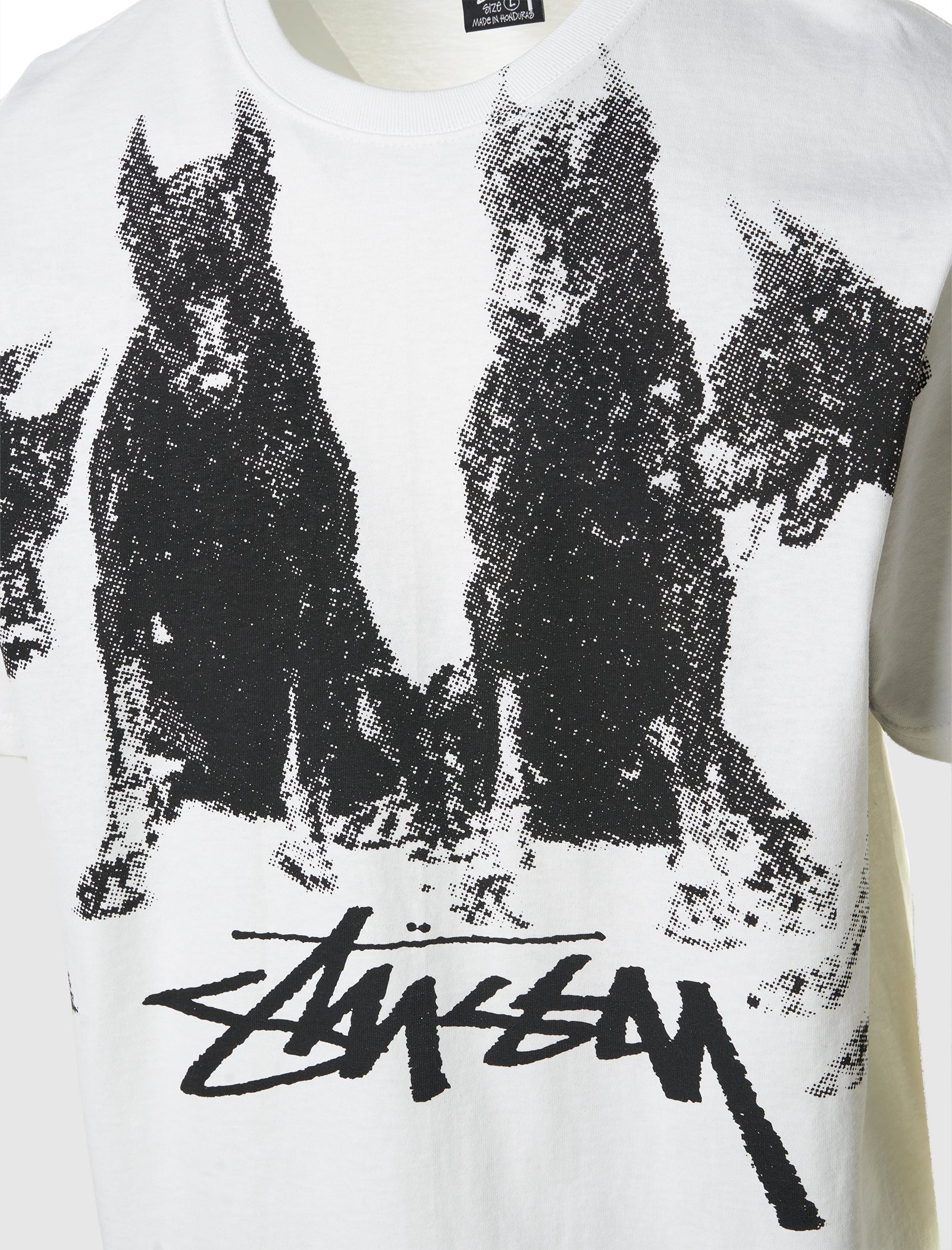 STUSSY DOBERMANS TEE