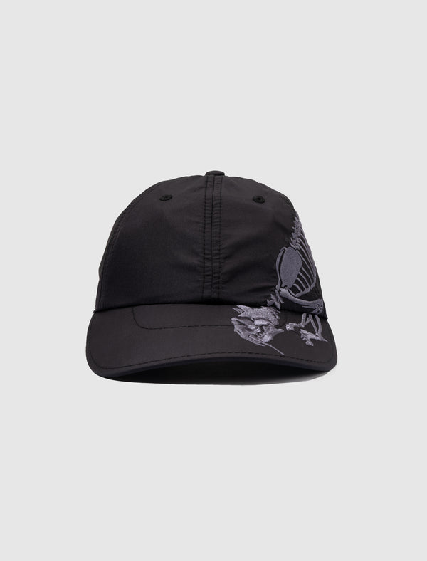 ARIES 6-PANEL CAP